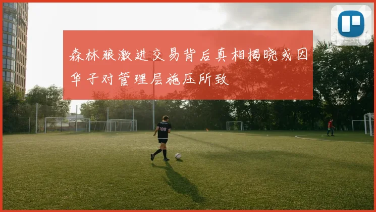 森林狼激进交易背后真相揭晓或因华子对管理层施压所致