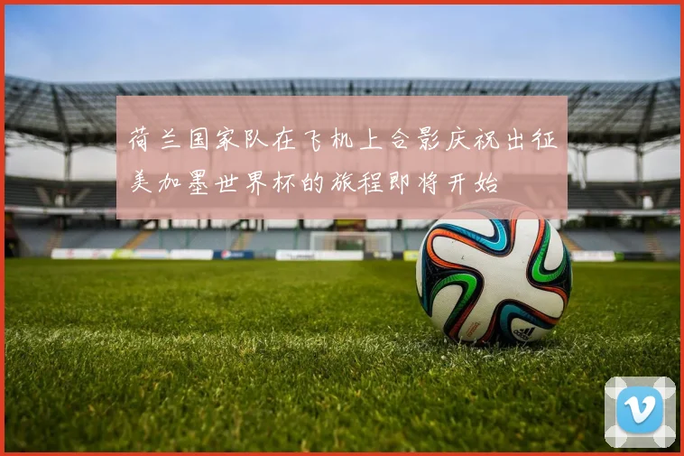 荷兰国家队在飞机上合影庆祝出征美加墨世界杯的旅程即将开始