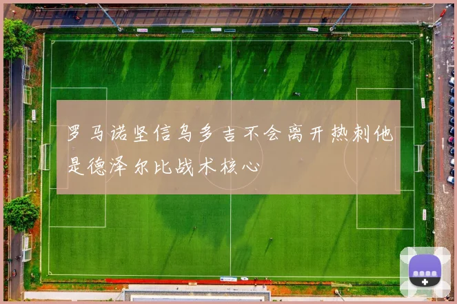 罗马诺坚信乌多吉不会离开热刺他是德泽尔比战术核心
